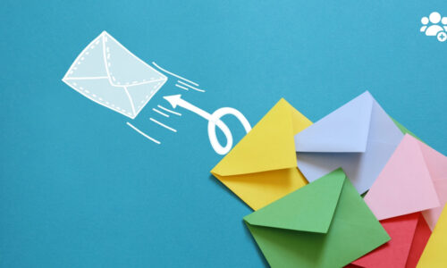 CCM-SUW-Email-List-Subscribers