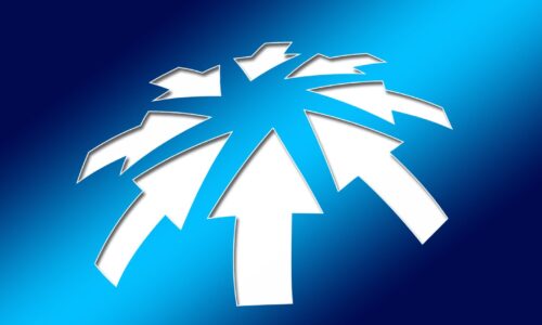 startupwise-when-to-pivot-and-when-not-to